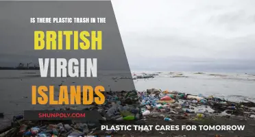 Unveiling the Truth: Plastic Pollution in the British Virgin Islands