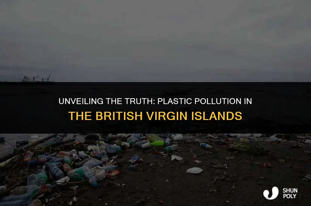 is there plastic trash in the british virgin islands