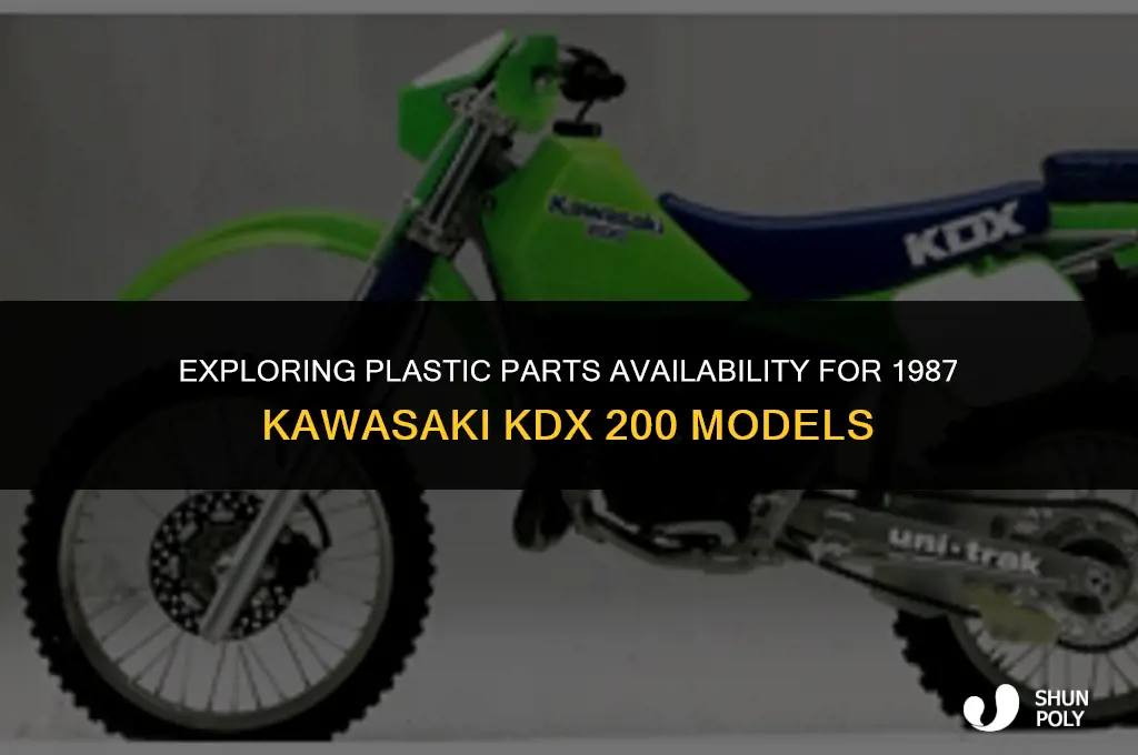 is there plastics for a 1987 kawasaki kdx 200