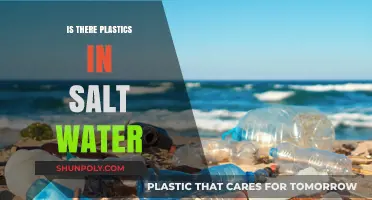 Saltwater Pollution: Plastics' Impact on Marine Life