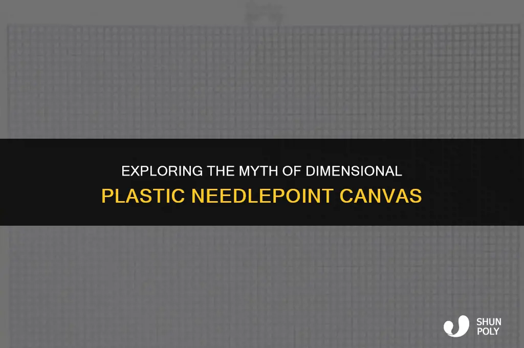 is there such a thing as dimensional plastic needlepoint canvas