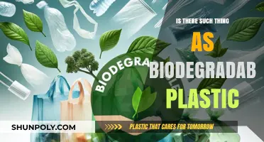 The Truth About Biodegradable Plastic