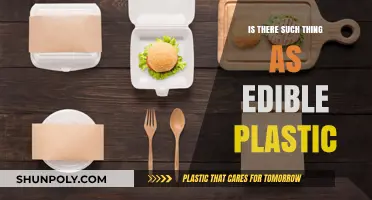 The Future of Plastic: Edible Innovation