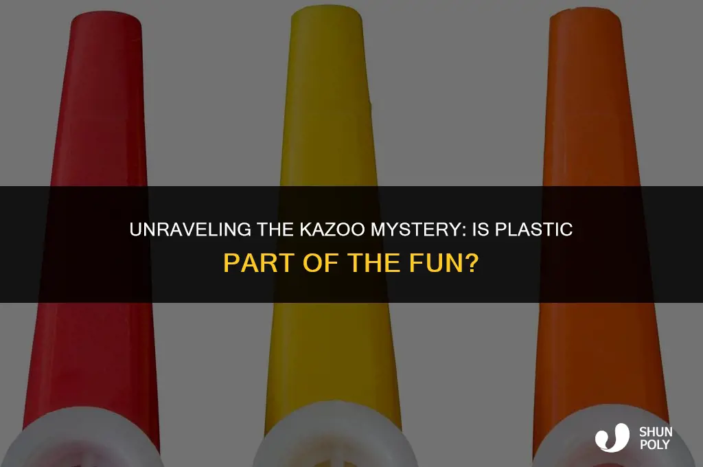 is there supposed to be plastic on the kazoo