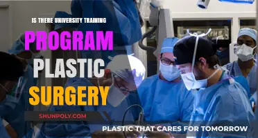 University Training Programs in Plastic Surgery: Exploring Educational Pathways