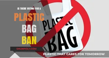 Should We Vote to Ban Plastic Bags? Exploring the Debate