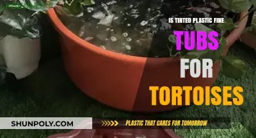 Tortoises and Tinted Tubs: A Safe Haven?