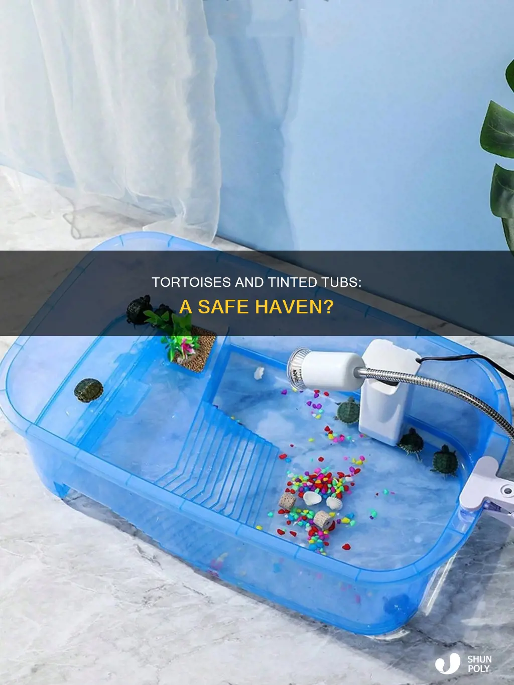 is tinted plastic fine tubs for tortoises