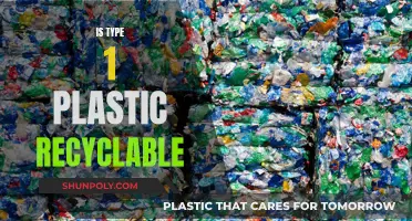 Recycling Type 1 Plastics: What You Need to Know