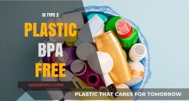 Plastic Safety: Type 2 and BPA-Free