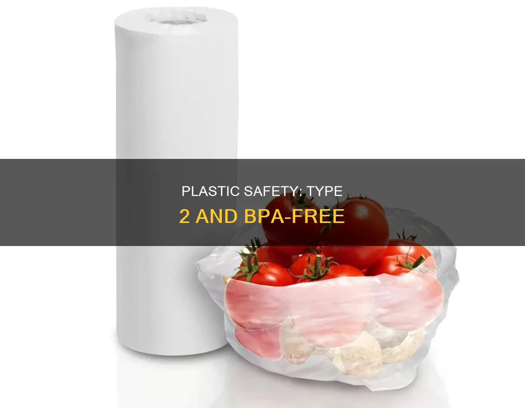 is type 2 plastic bpa free
