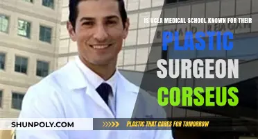 UCLA Medical School's Reputation in Plastic Surgery Training Explored