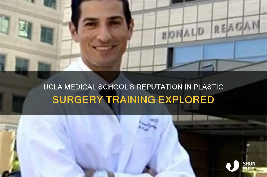 is ucla medical school known for their plastic surgeon corseus