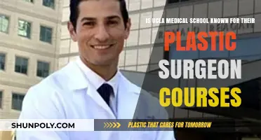 UCLA Medical School's Reputation in Plastic Surgery Education Explored