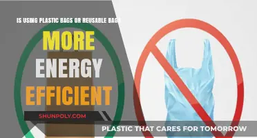 Plastic vs. Reusable Bags: Which is More Energy Efficient?