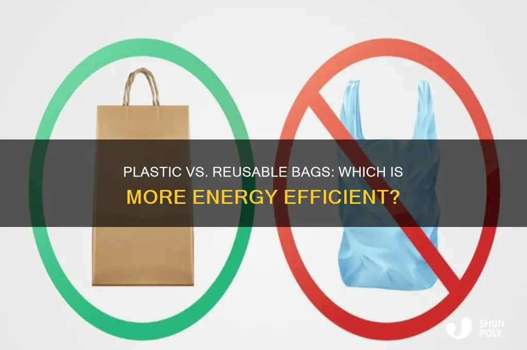 is using plastic bags or reusable bags more energy efficient