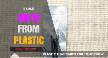 Is Vanilla Made from Plastic? Uncovering the Truth Behind the Flavor