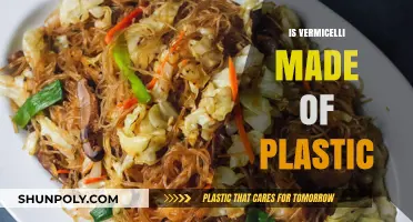 Is Vermicelli Plastic? Unraveling the Truth Behind the Rumors