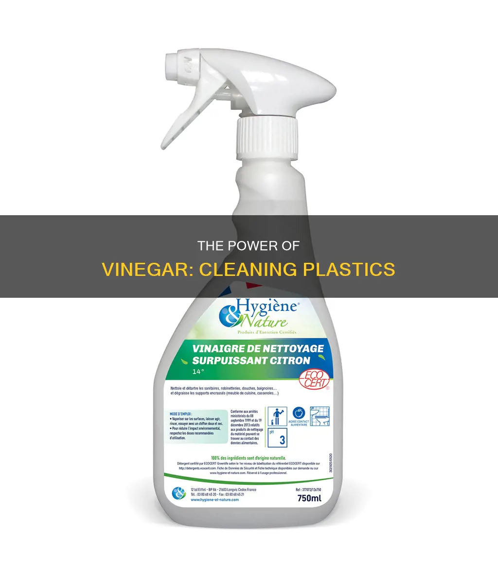 is vinegar good for cleaning plastic