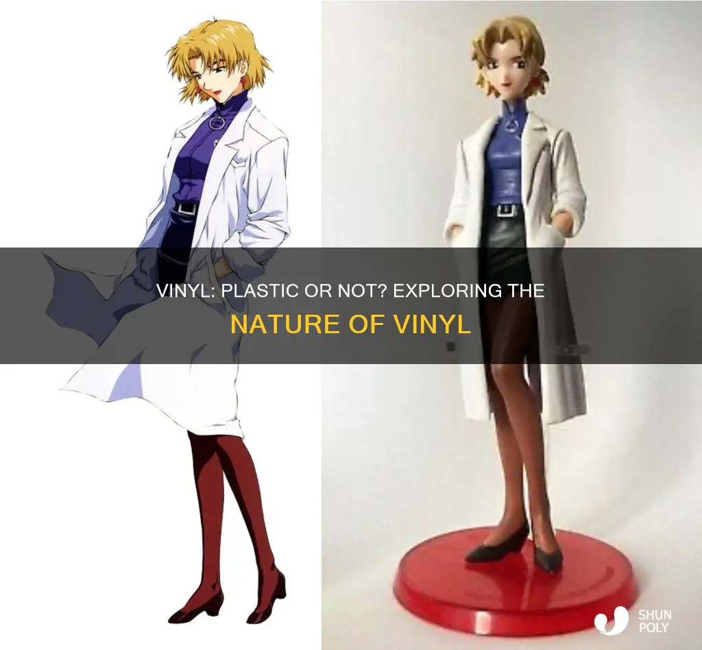 is vinyl a form of plastic