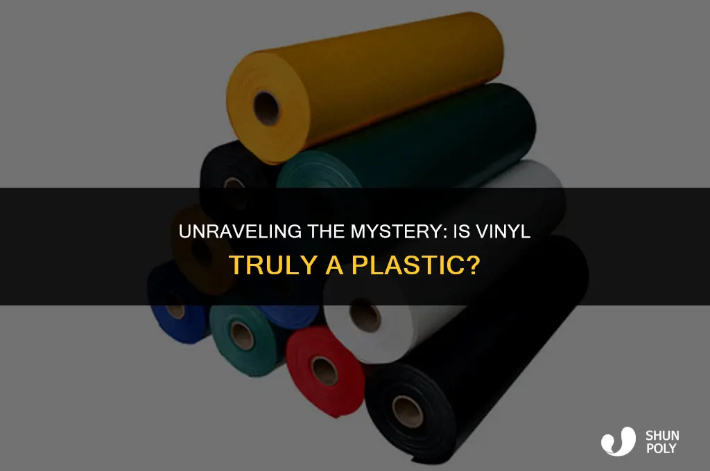 is vinyl a plastic