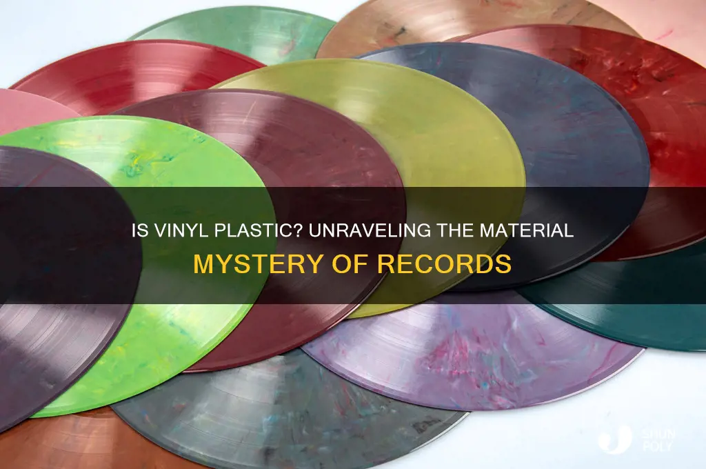 is vinyl made of plastic