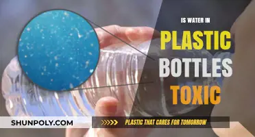 Is Bottled Water Safe? Uncovering Plastic Bottle Toxicity Concerns