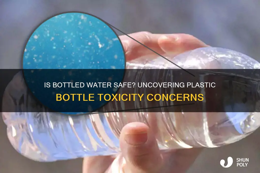 is water in plastic bottles toxic