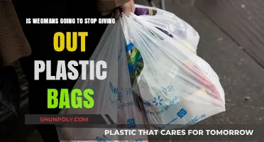 Is Wegmans Phasing Out Plastic Bags? What Shoppers Need to Know