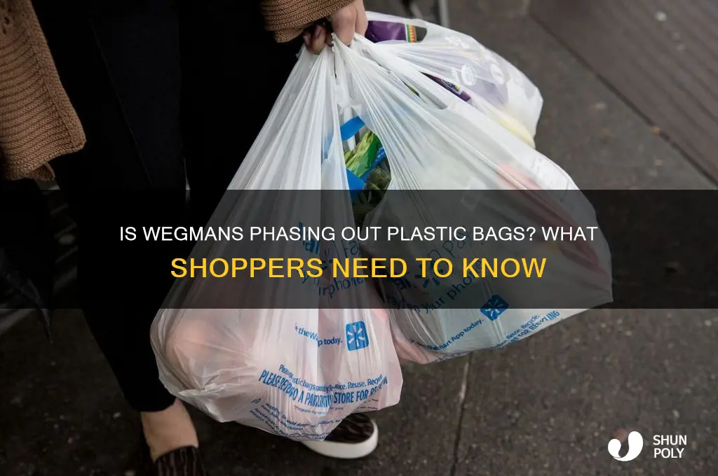 is wegmans going to stop giving out plastic bags