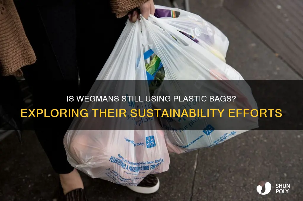 is wegmans using plastic bags