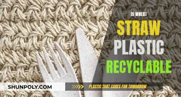 Wheat Straw Plastic: A Green Alternative or Not?