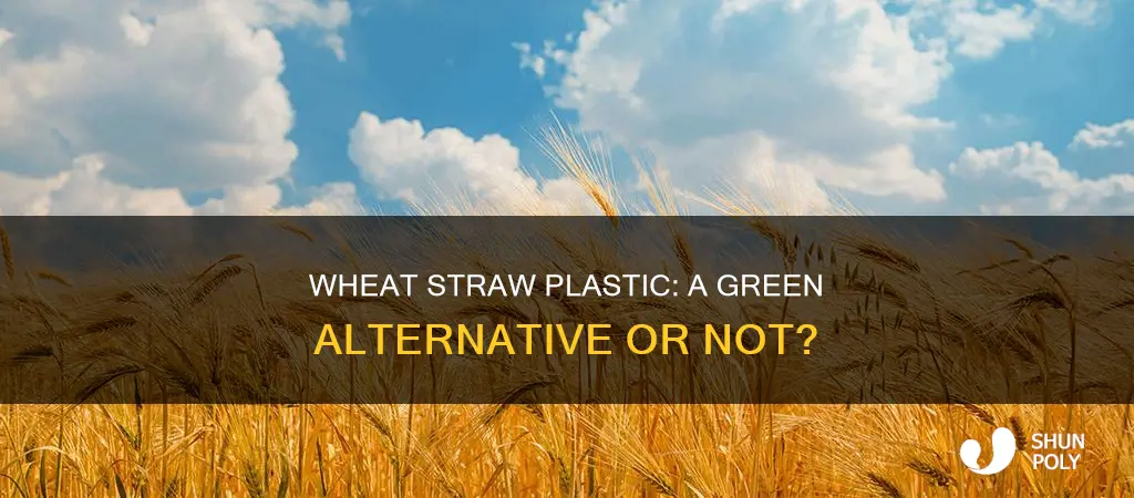 is wheat straw plastic recyclable