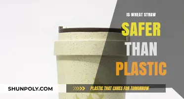 Eco-Friendly Alternatives: Is Wheat Straw a Safer Option Than Plastic?