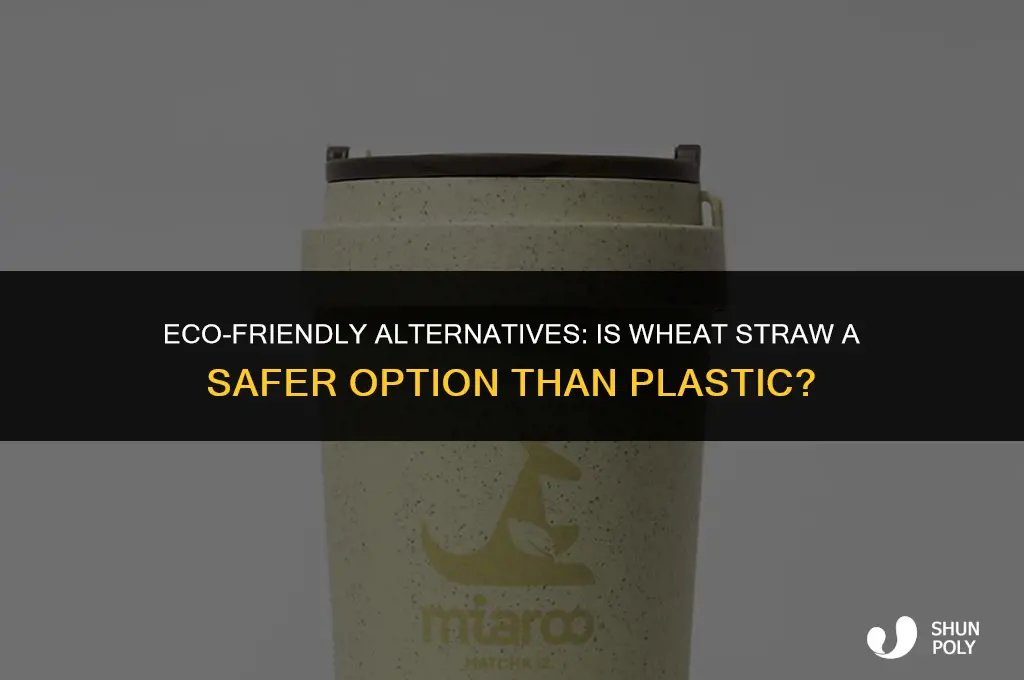 is wheat straw safer than plastic