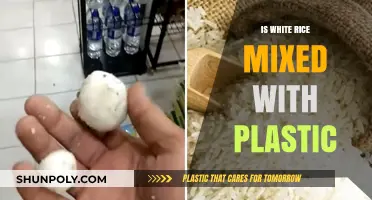 Rice and Plastic: Is Your Food Fake?