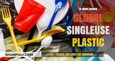 Who's to Blame for the Single-Use Plastic Crisis?