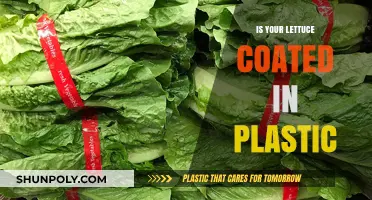 How Plastic-Coated Lettuce Affects Your Health and the Planet
