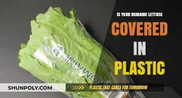 Why Is My Romaine Lettuce Wrapped in Plastic?