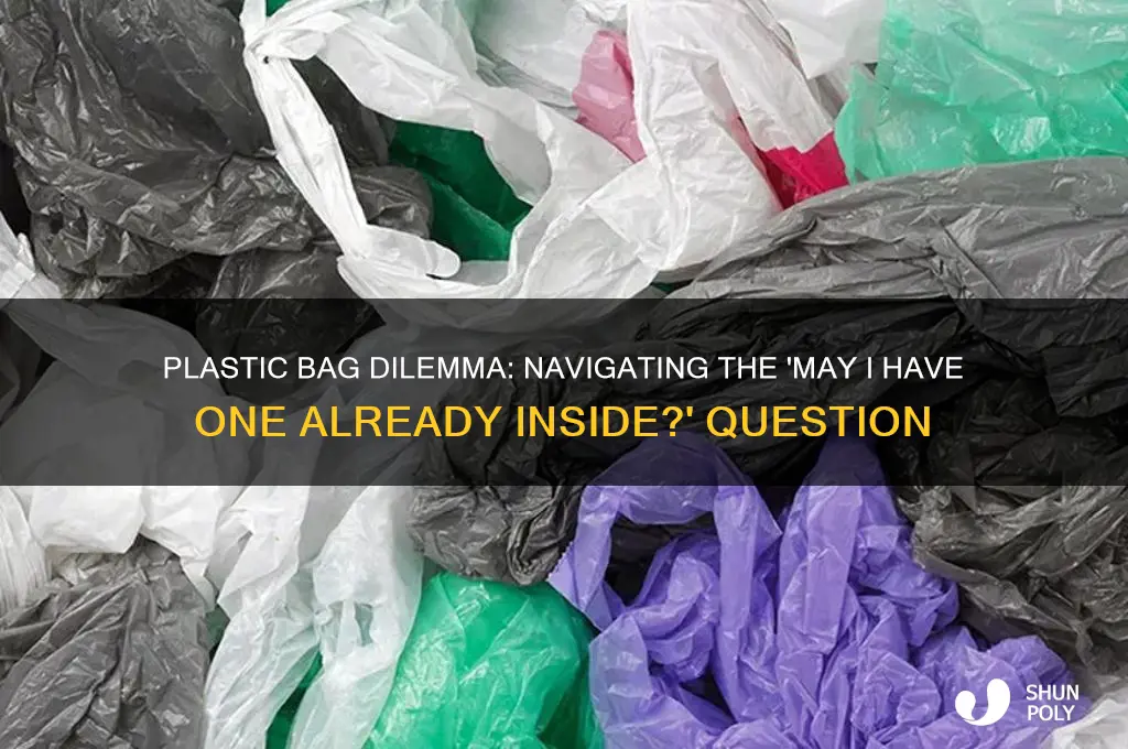 may i have a plastic bag already inside