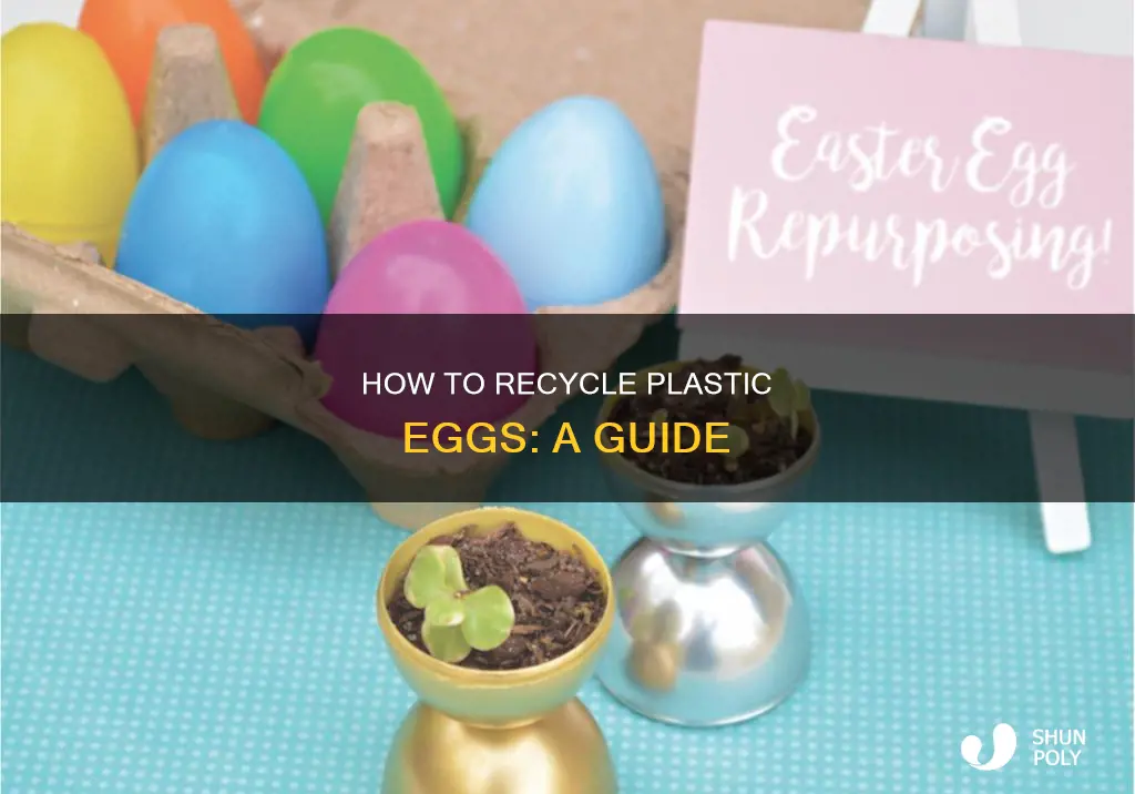 may i put plastic eggs pack in recycle