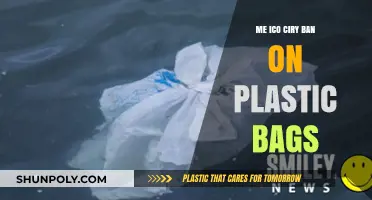 Mexico City's Bold Move: Banning Plastic Bags for a Greener Future