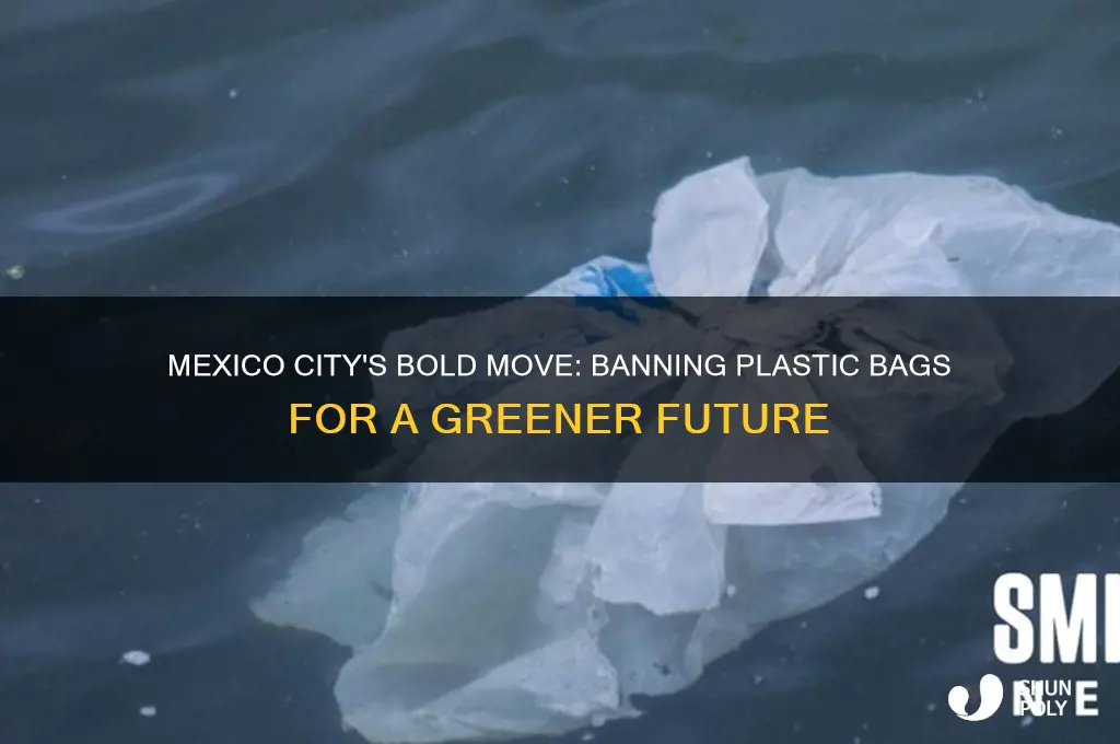 me ico ciry ban on plastic bags
