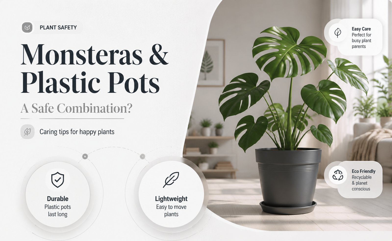 are monsteras okay in plastic pots