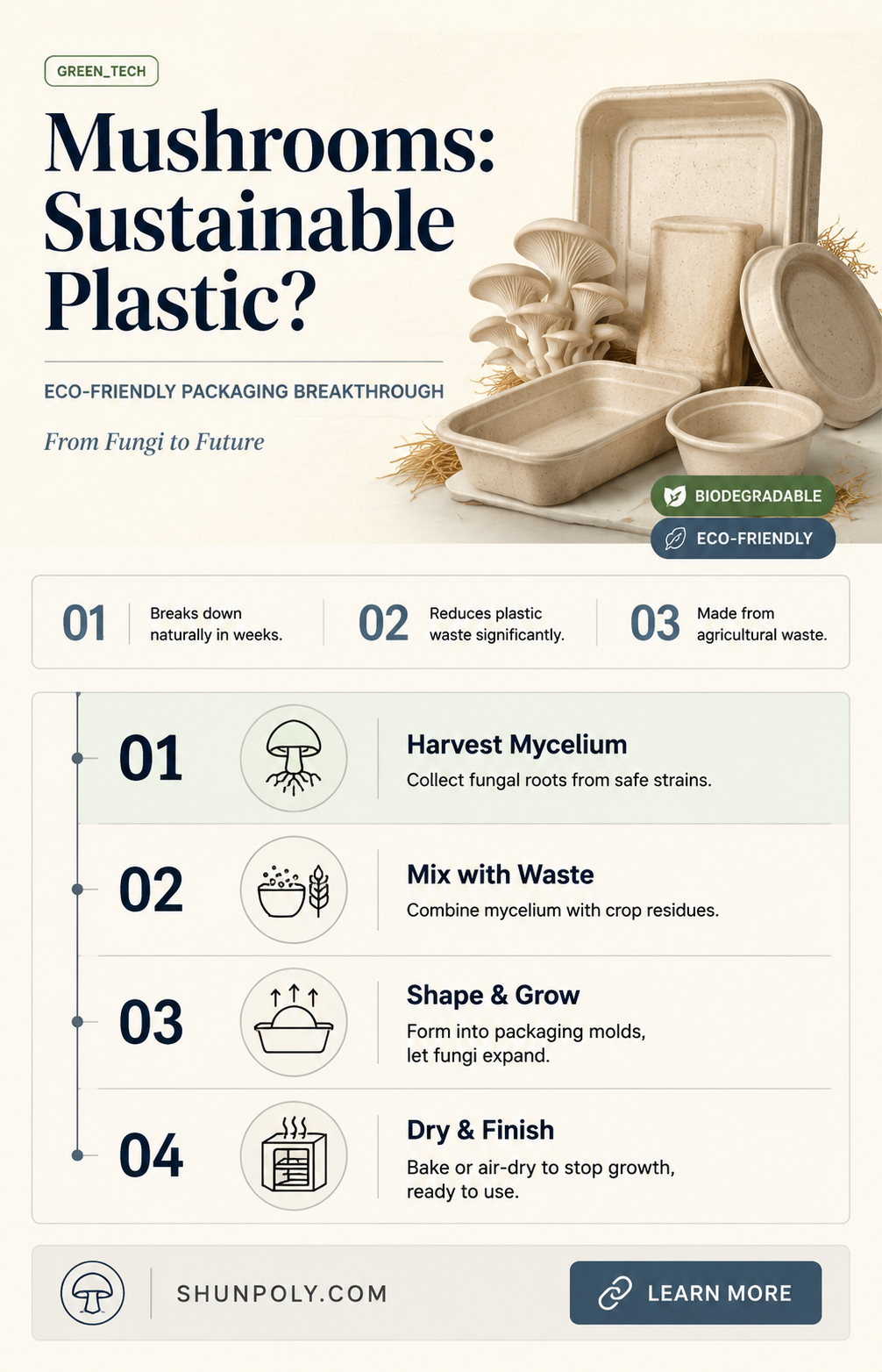 are mushrooms the new plastic ted talk