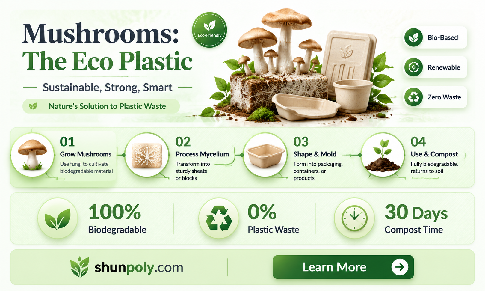 are mushrooms the new plastic details
