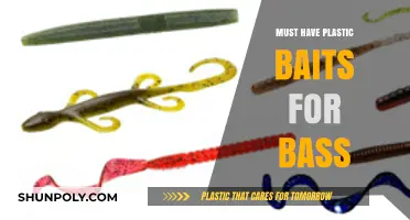 Plastic Baits for Bass: The Ultimate Guide