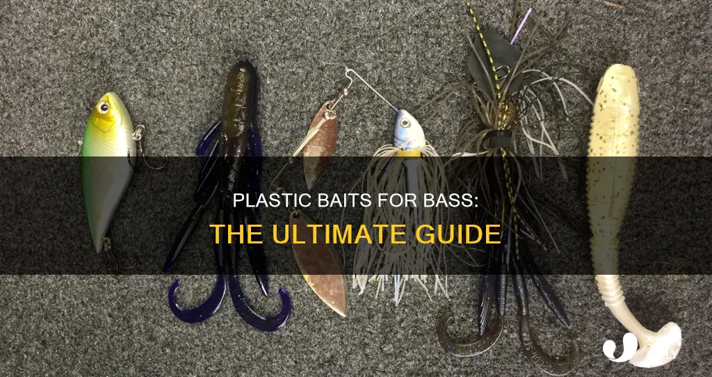must have plastic baits for bass