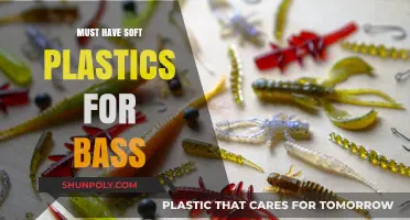 Bass Fishing: Soft Plastics You Need