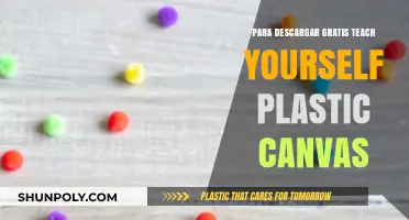 Plastic Canvas: Free Teach-Yourself Guide